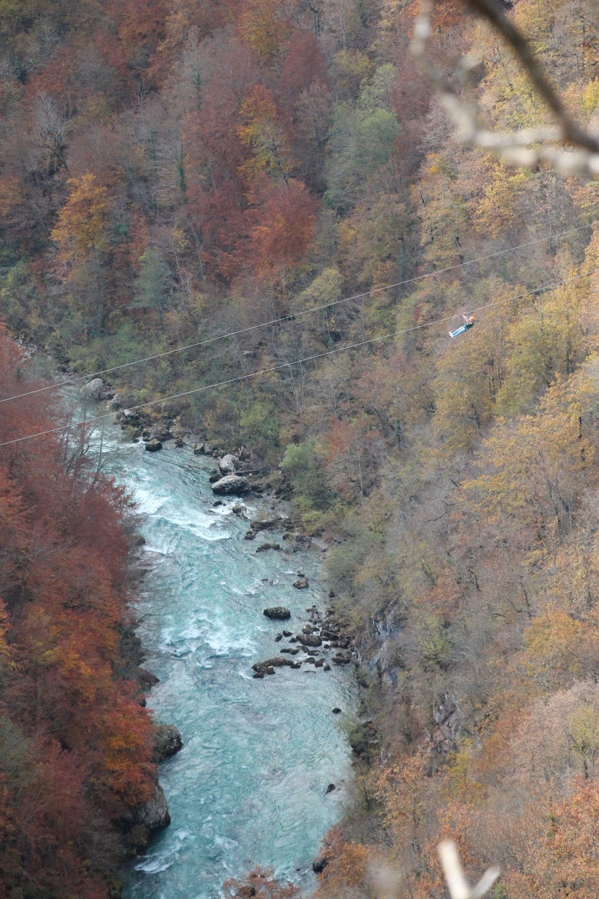 Zipline nad kanjonom Tare