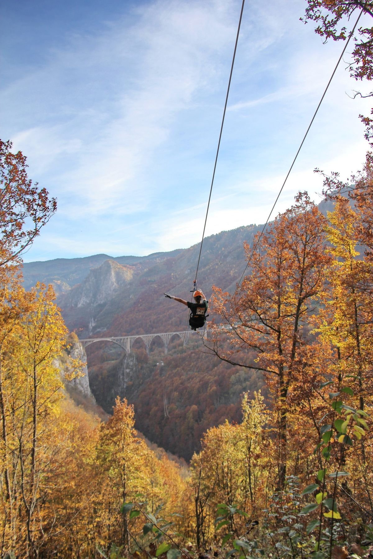 Zipline Tara — fotografija 2