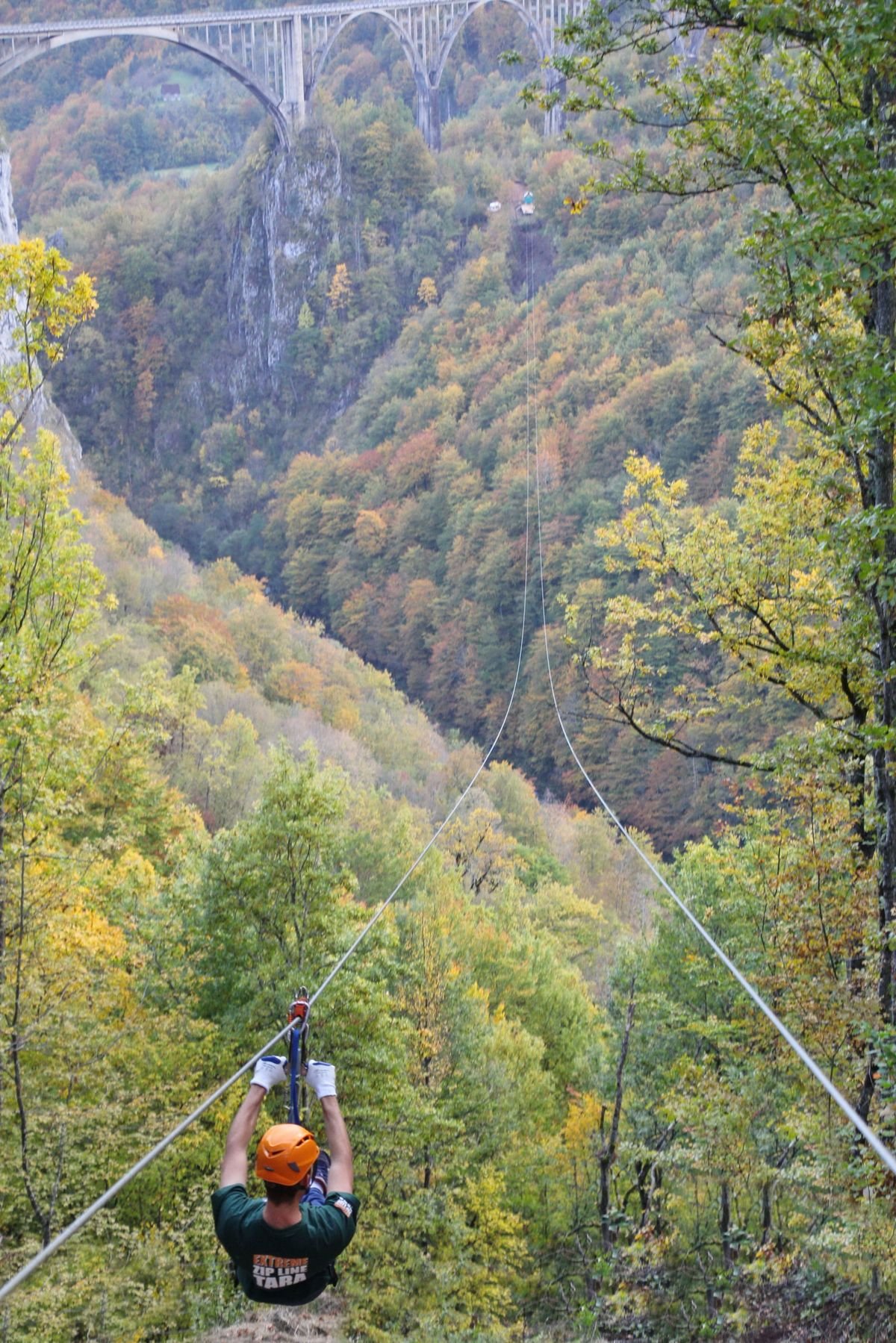 Zipline Tara — fotografija 5