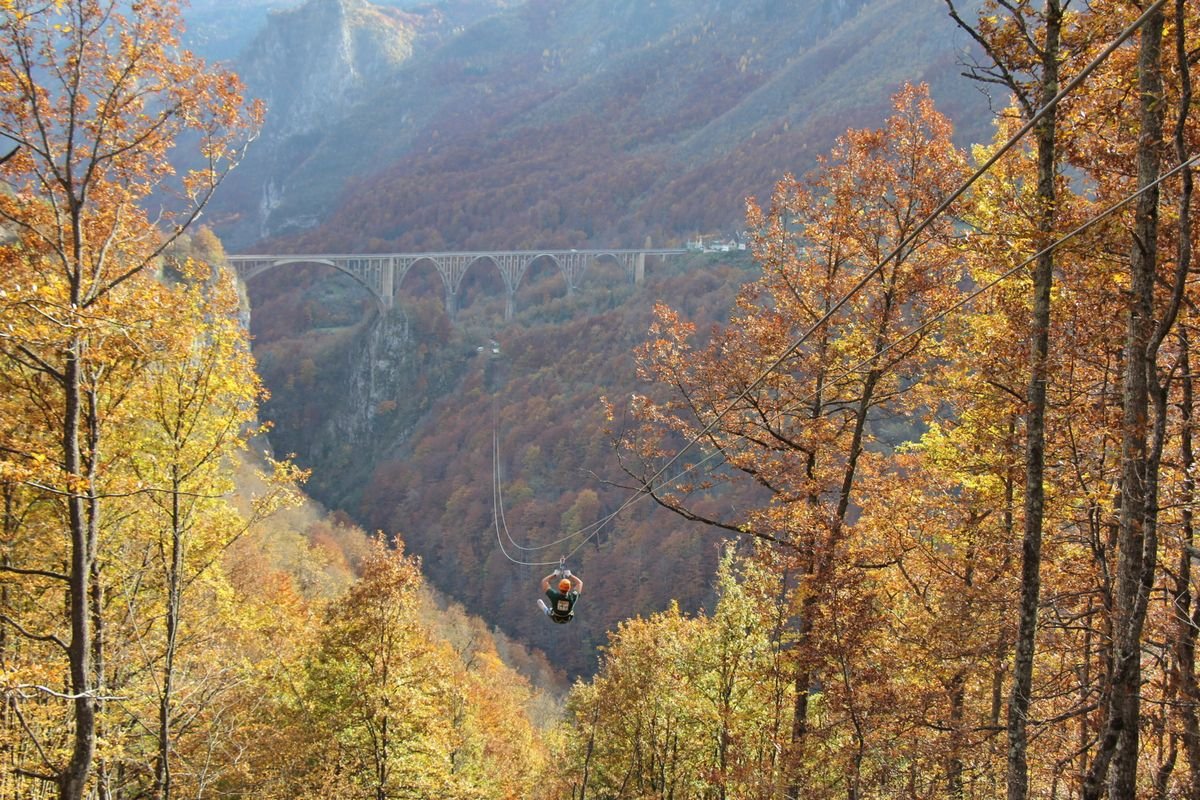 Zipline Tara — fotografija 6
