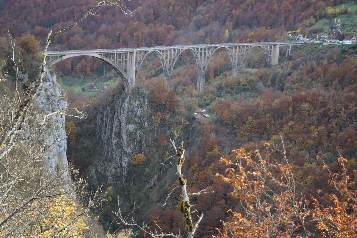 Zipline Tara — fotografija 10